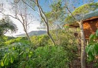 Forest surrounding the bungalows with mountain and ocean views