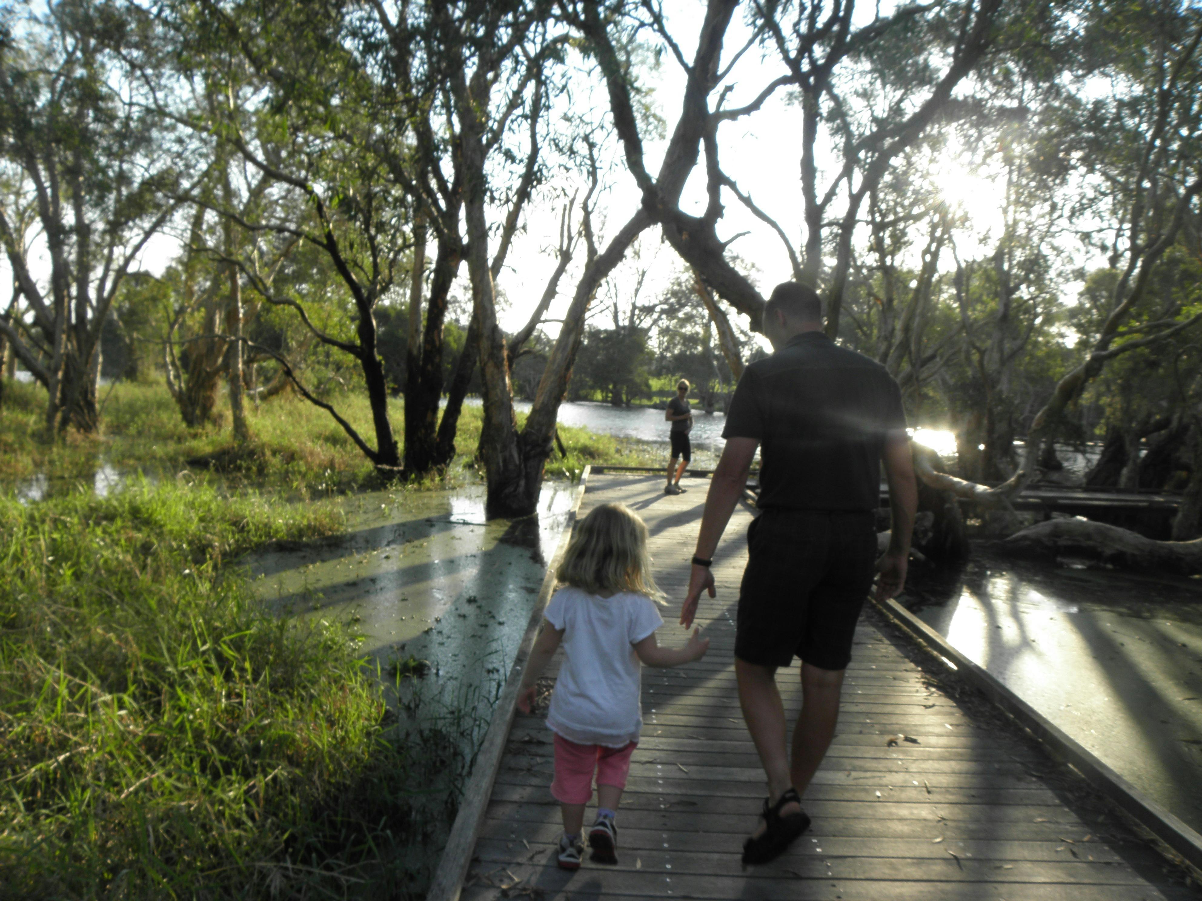 Boardwalk at Eagleby to view waterbirds