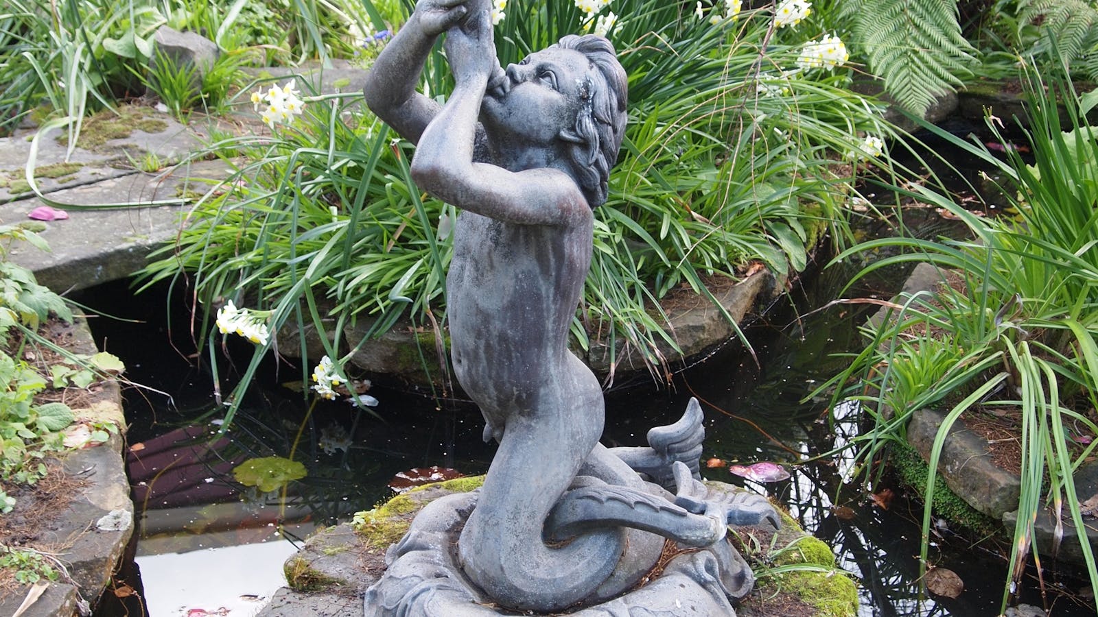 Triton fountain c1930 in Markree's garden