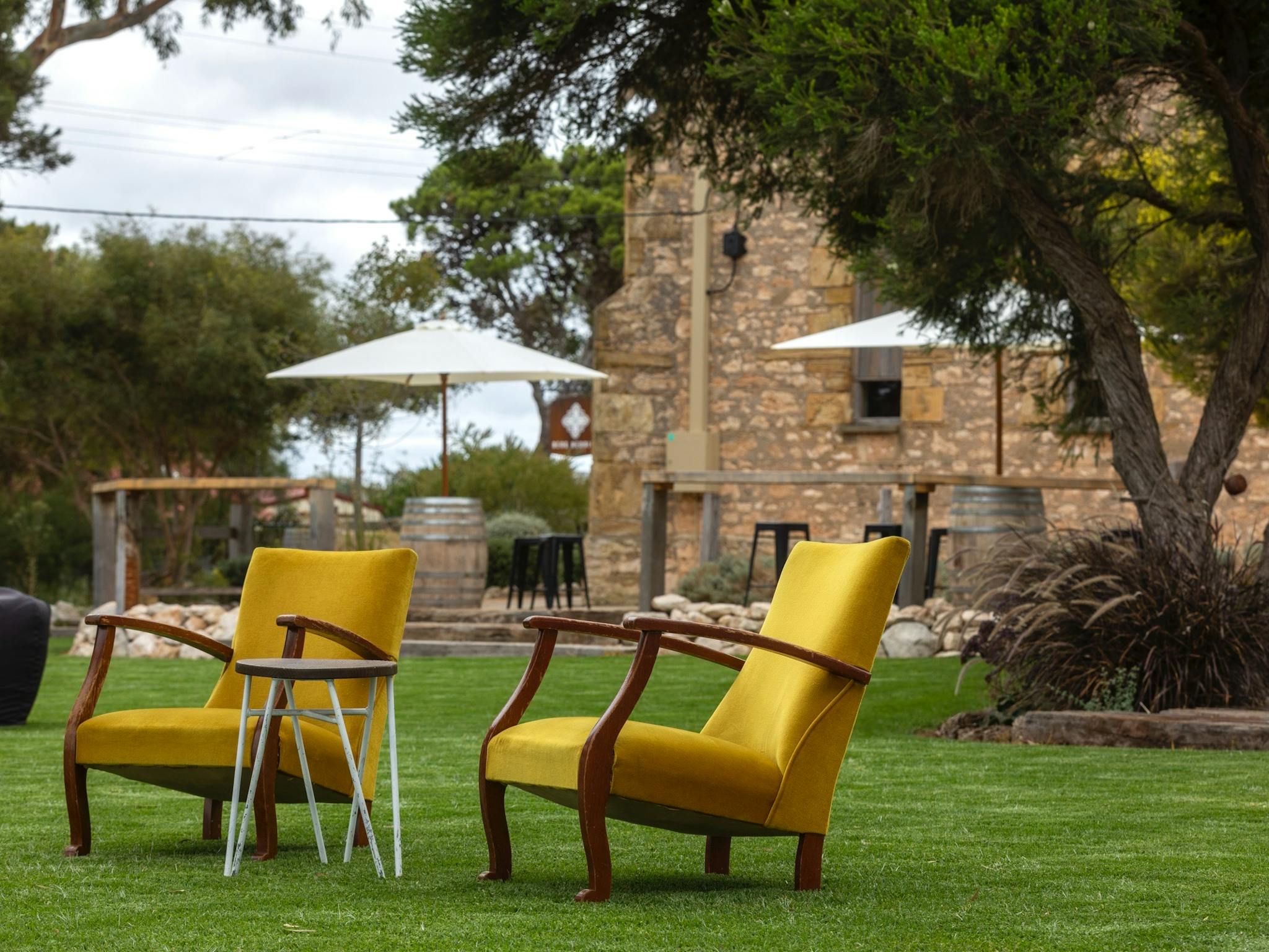 Antique chairs on grass