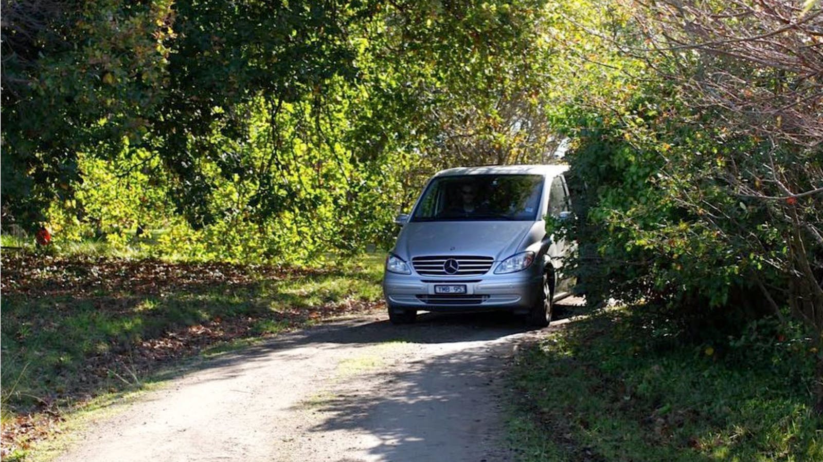 Mornington Peninsula Plunge Wine Tours