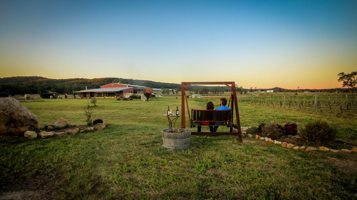 Overlooking the Cellar Door and Vineyard on Jester Hill's famous swing.