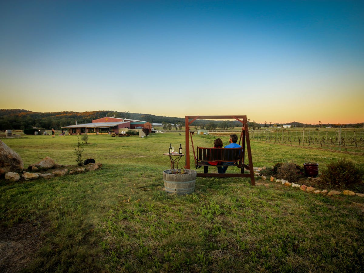 Overlooking the Cellar Door and Vineyard on Jester Hill's famous swing.