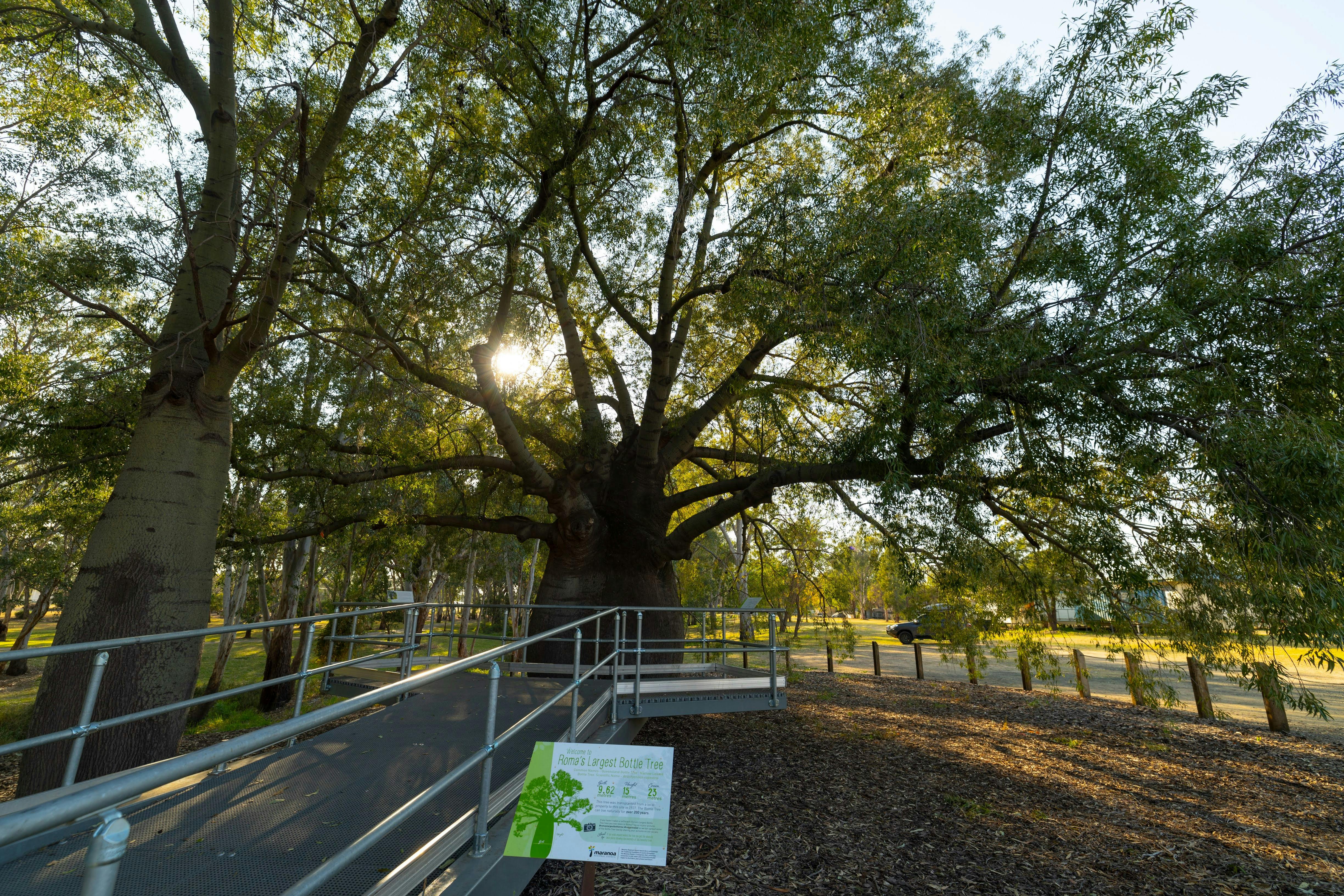 Adungadoo Pathway