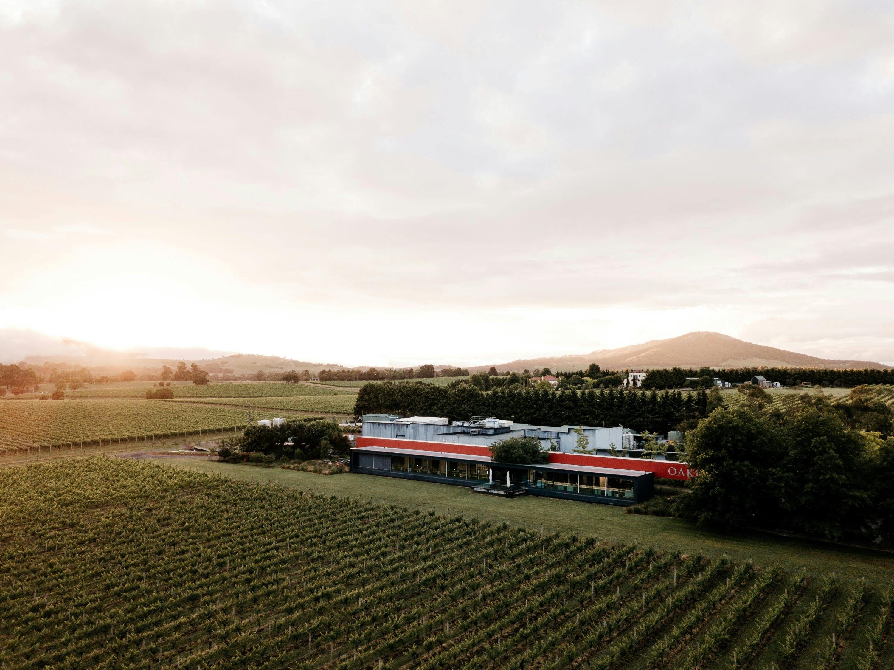 Aerial view of the long Oakridge Restaurant building, surrounded by vineyard. & mountains