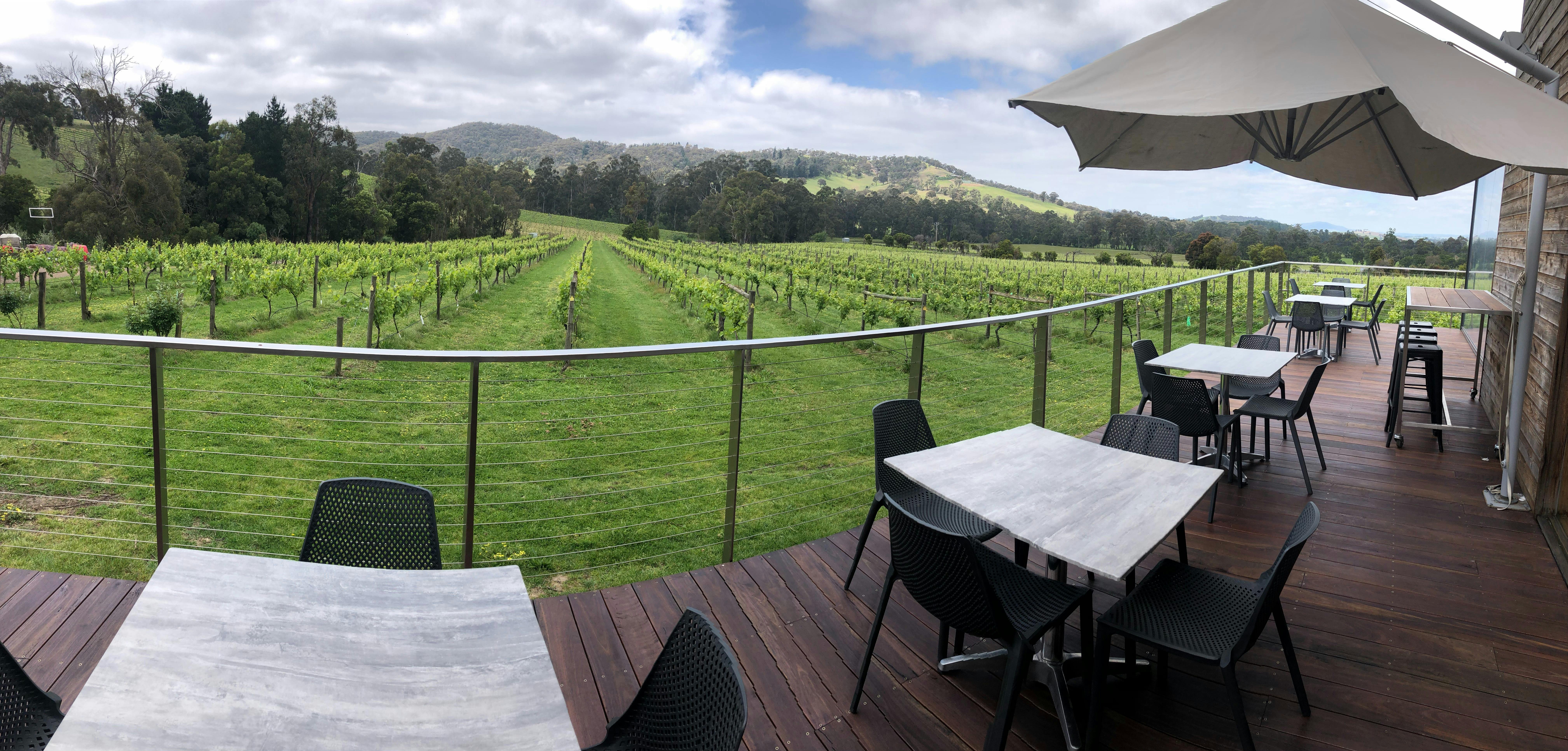 Outdoor dining deck at Steels Gate  overlooking lush dry-grown Yarra Valley vines Dixons Creek