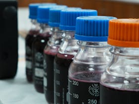 Wine samples