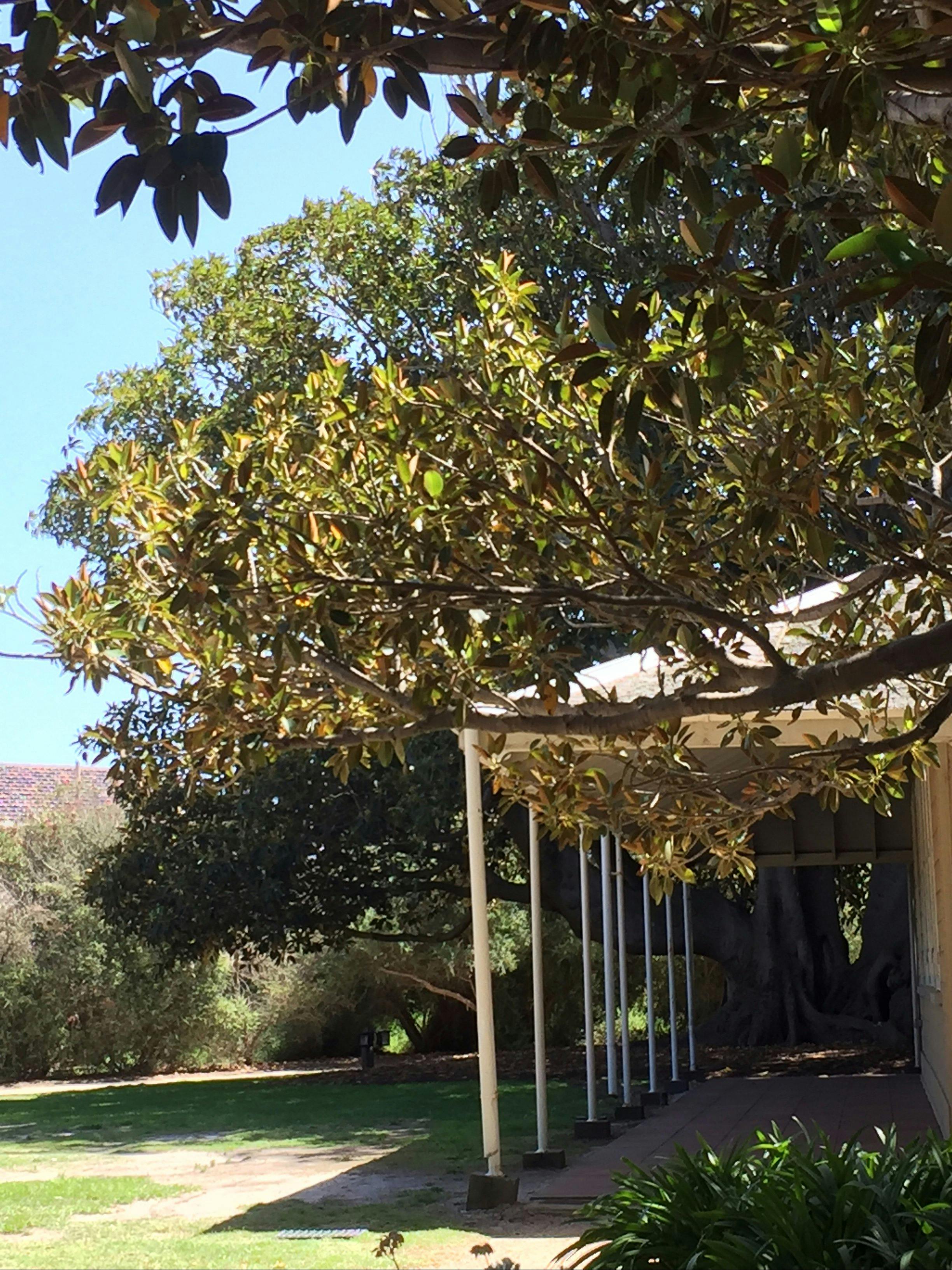 Black Rock House