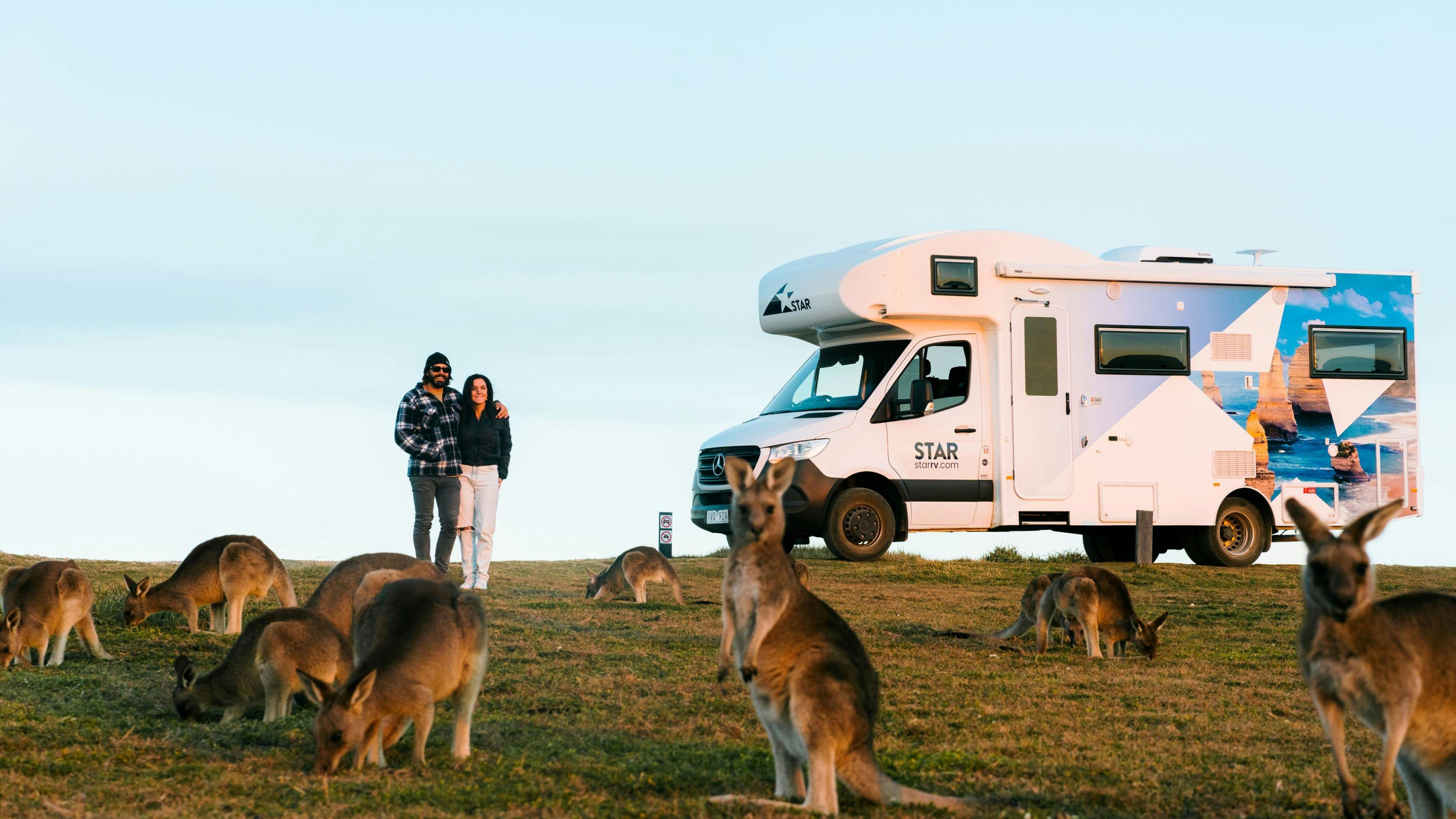 Star RV with Kangaroos