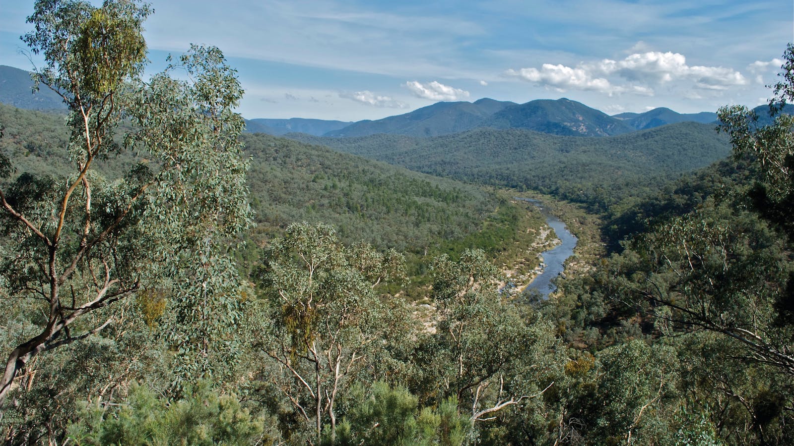 Snowy River National Park