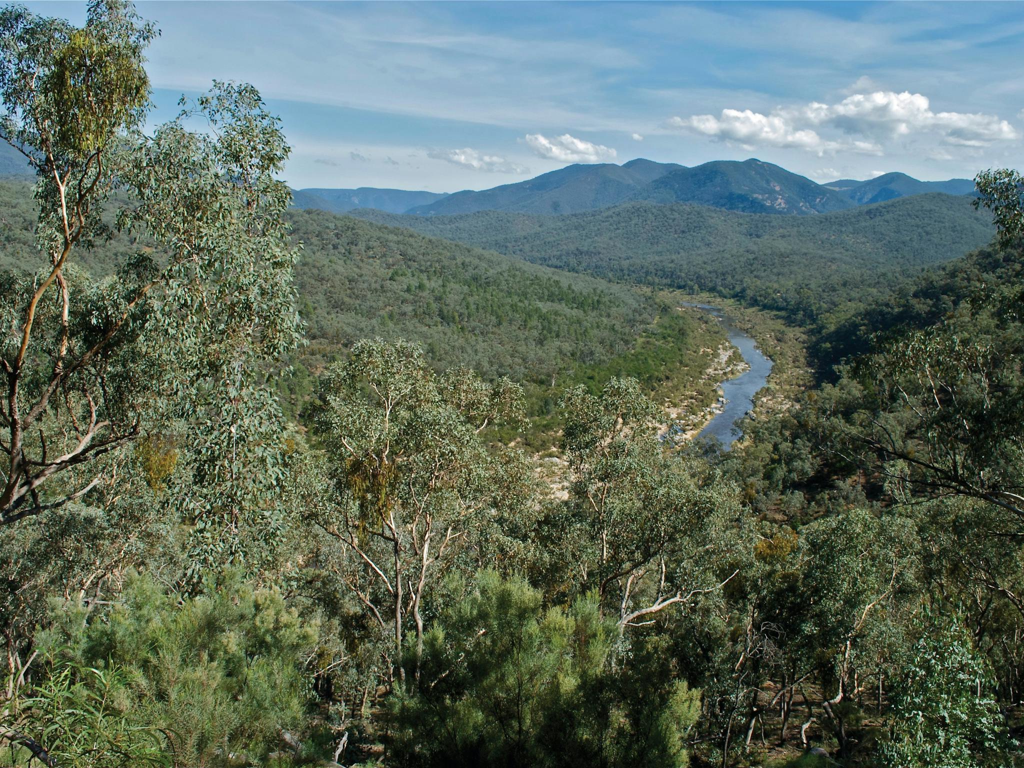 Snowy River National Park