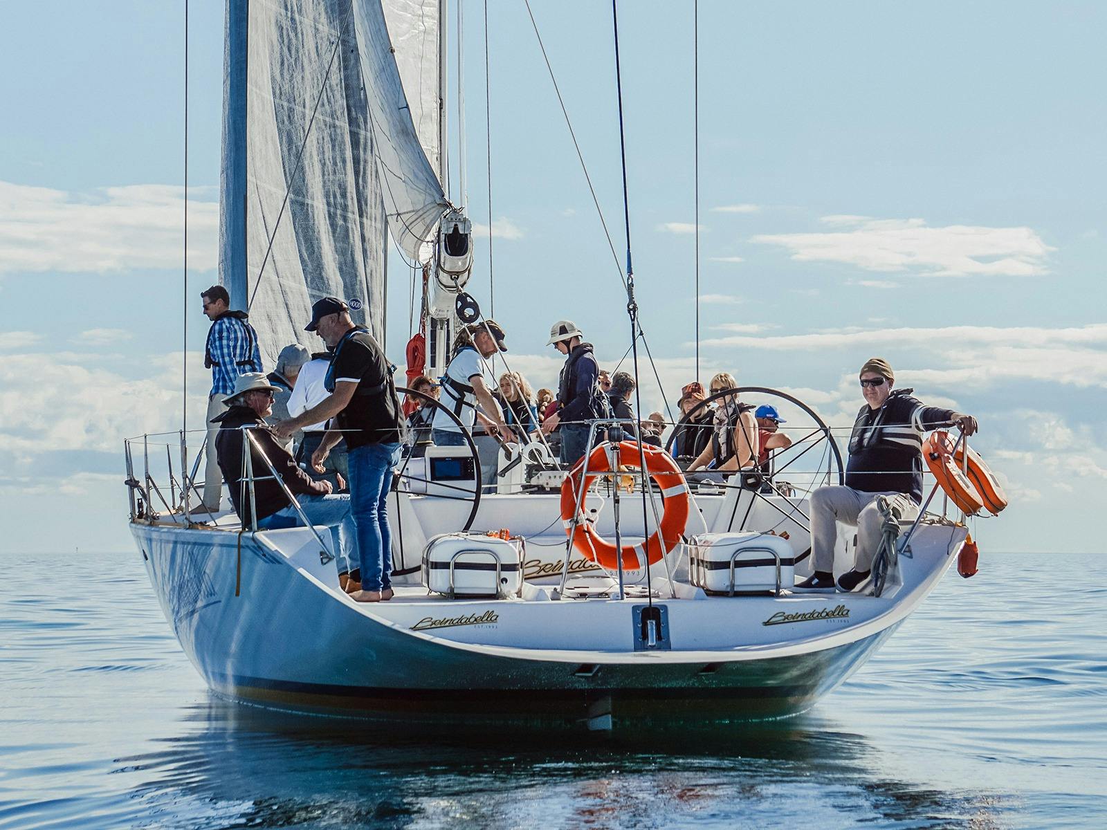 Go Sailing