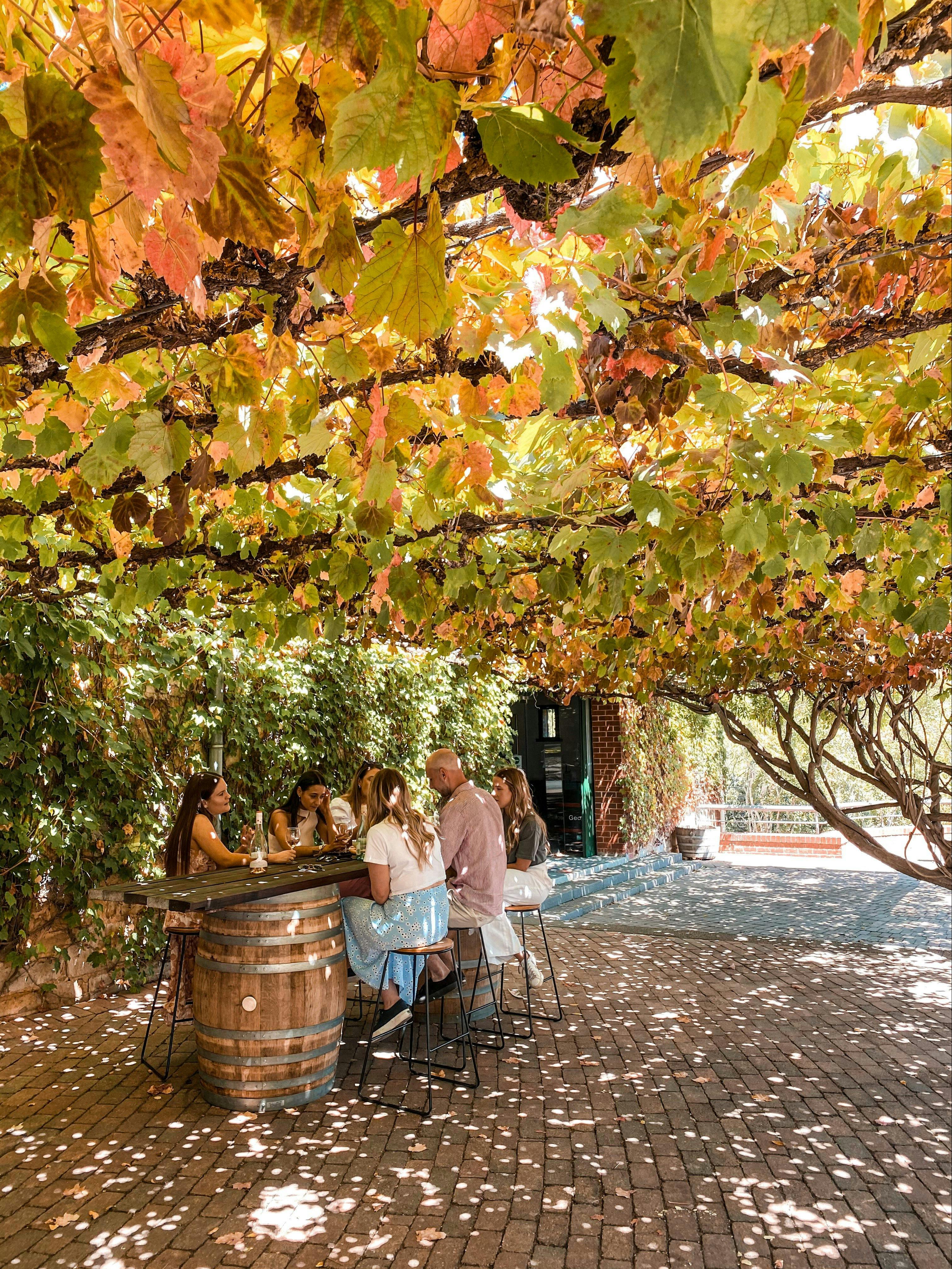 A group enjoying wine at a high table under some green and yellow vines