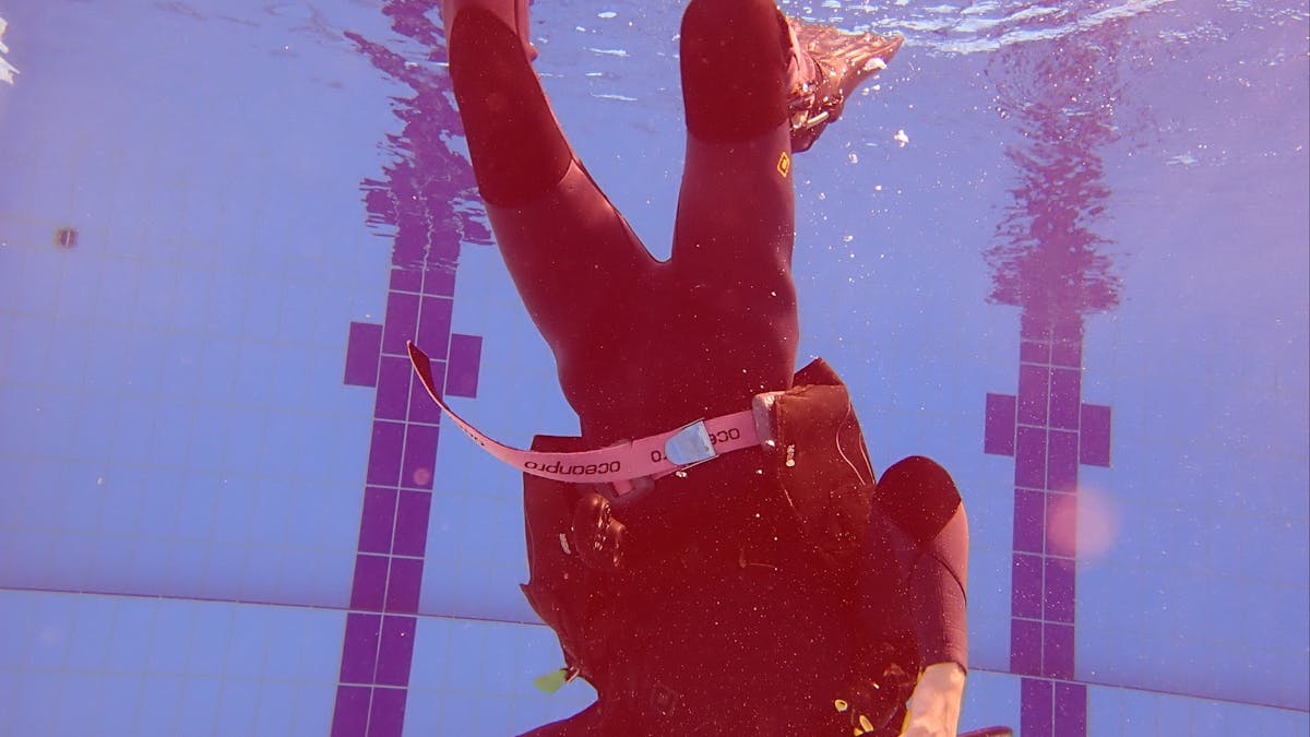 Brisbane Dive Academy - Live to Dive