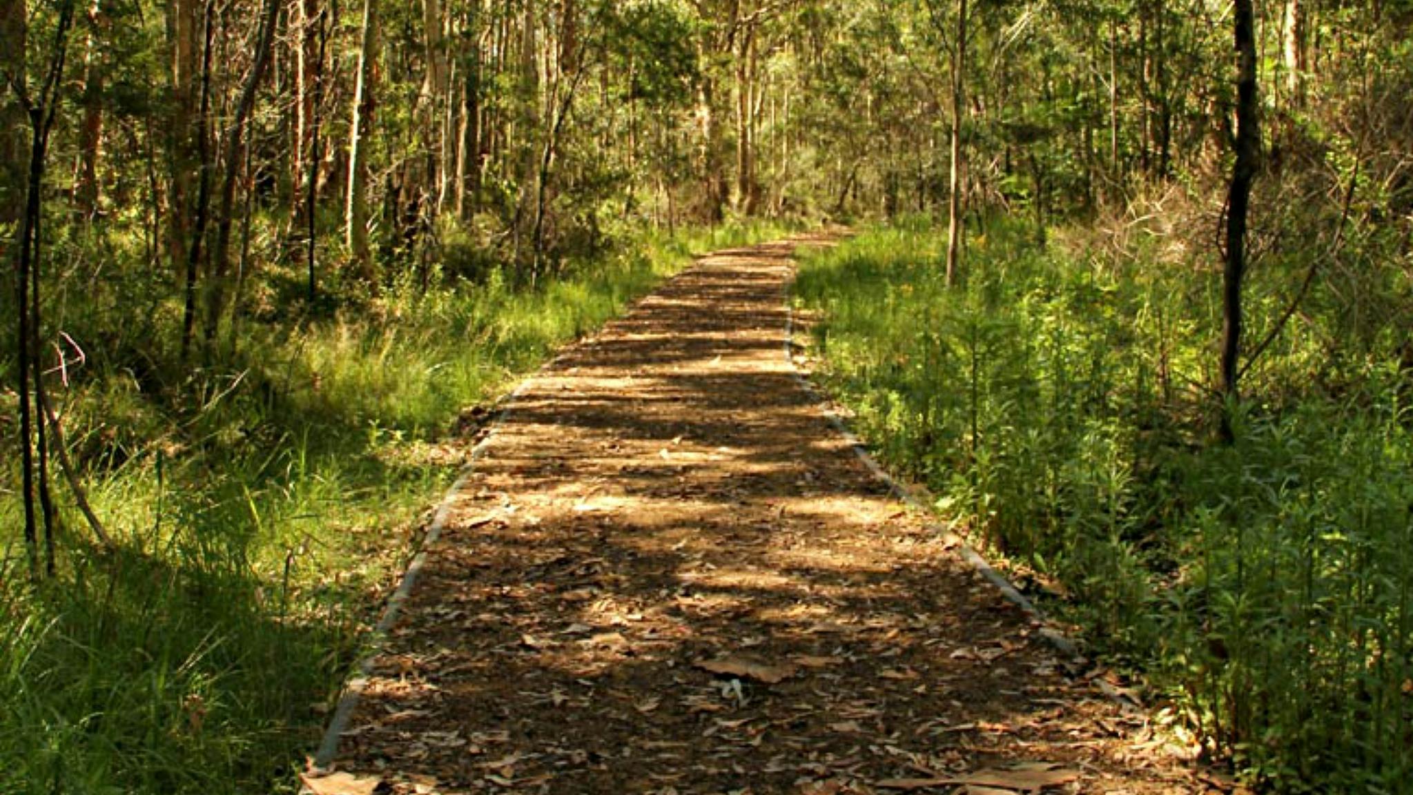 Heritage walking track, Blue Gum Hills Regional Park. Photo: John Yurasek