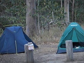 Two tents set up in the Middle Kobble Creek Bush Camp
