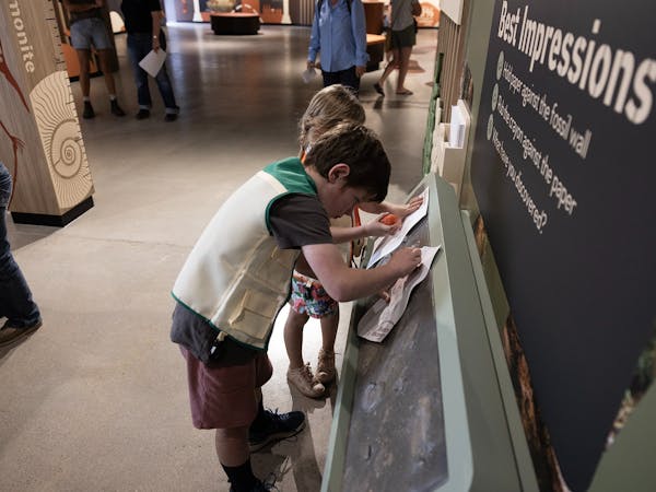 Children making rubbings on paper from fossil imprint