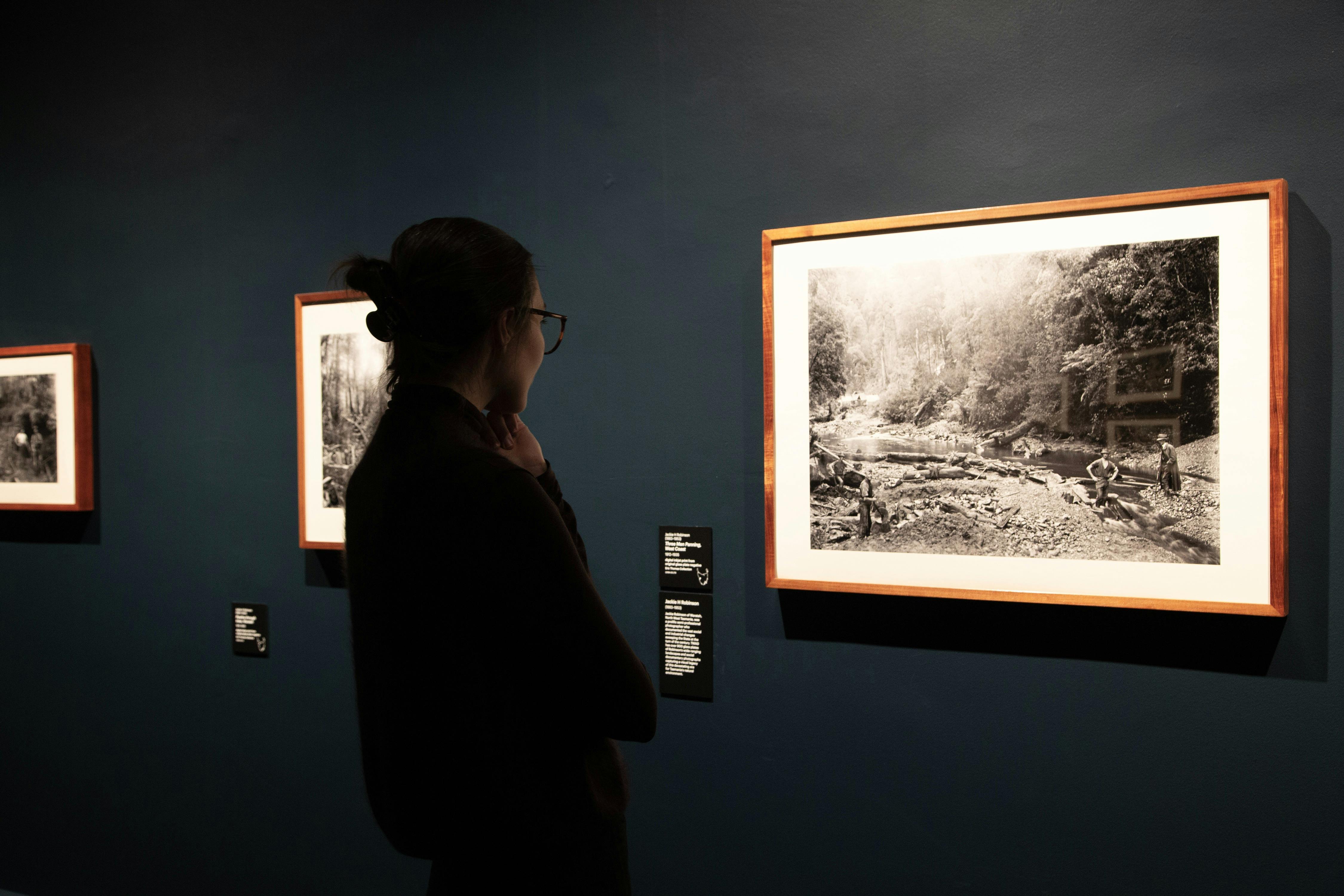 Person looking at photo in gallery