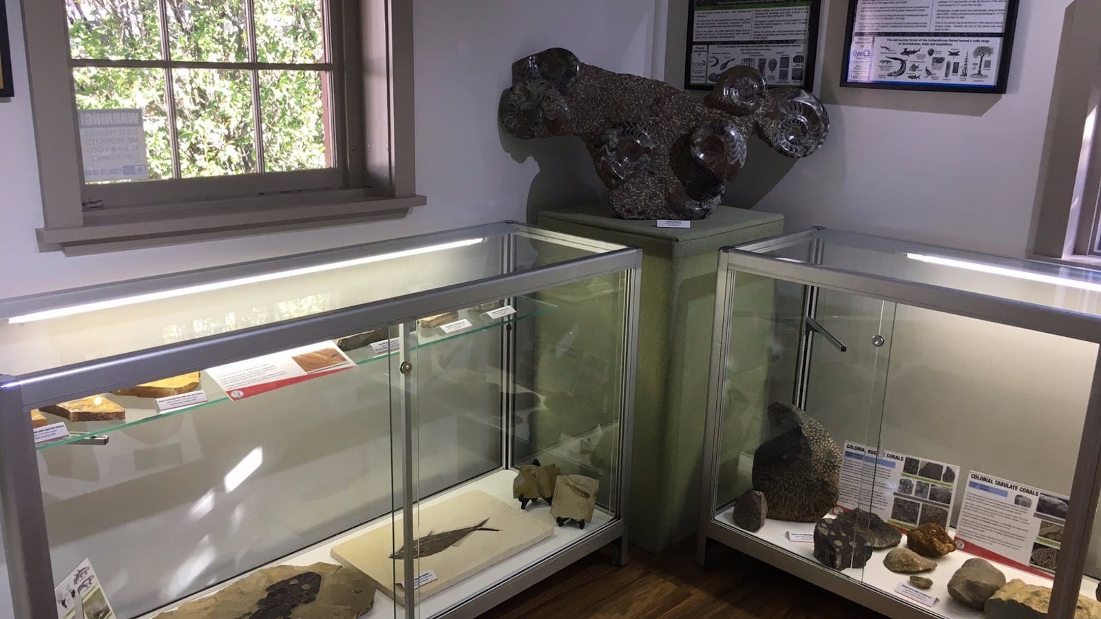 Ulladulla Fossil House