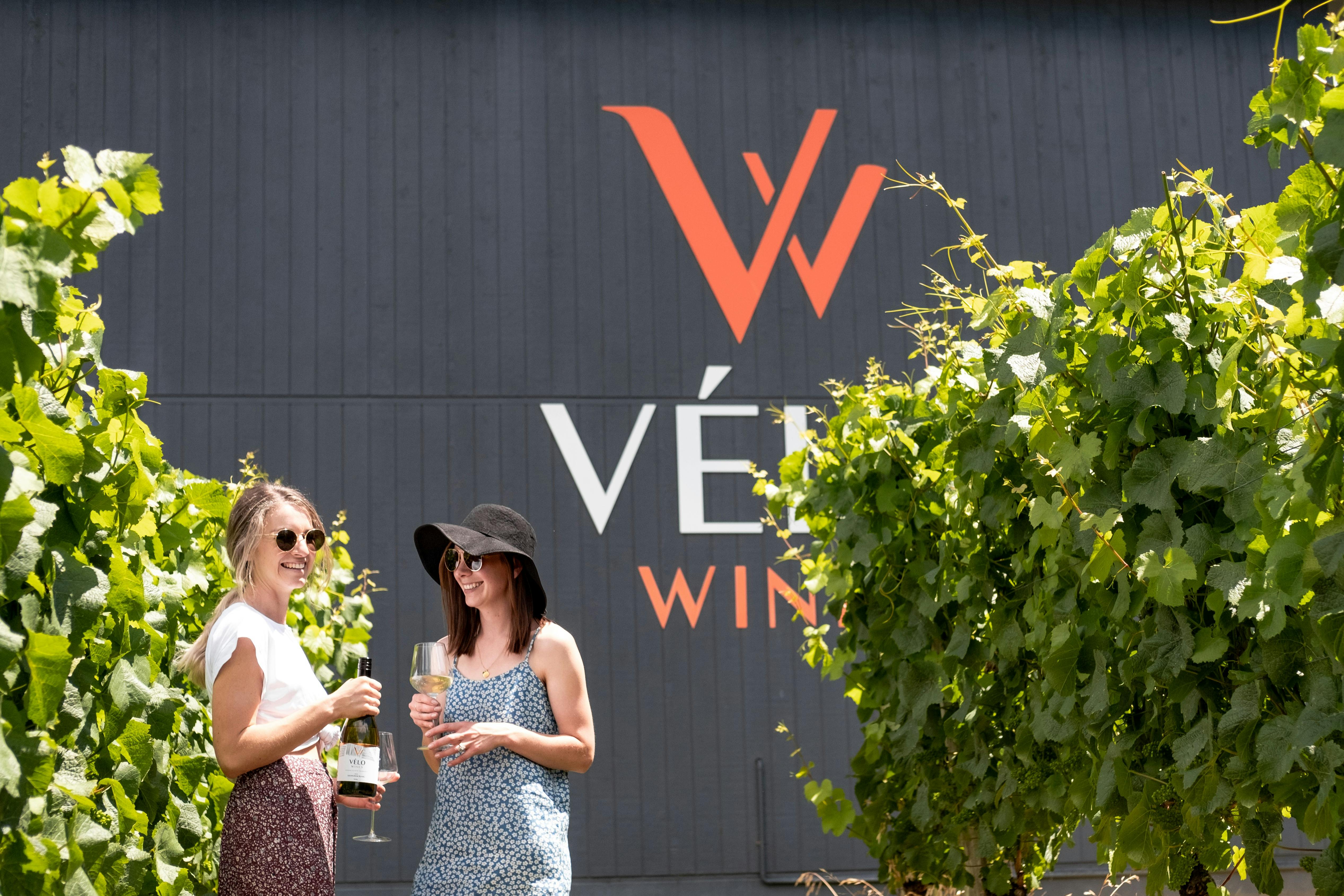 Velo Wines Cellar Door