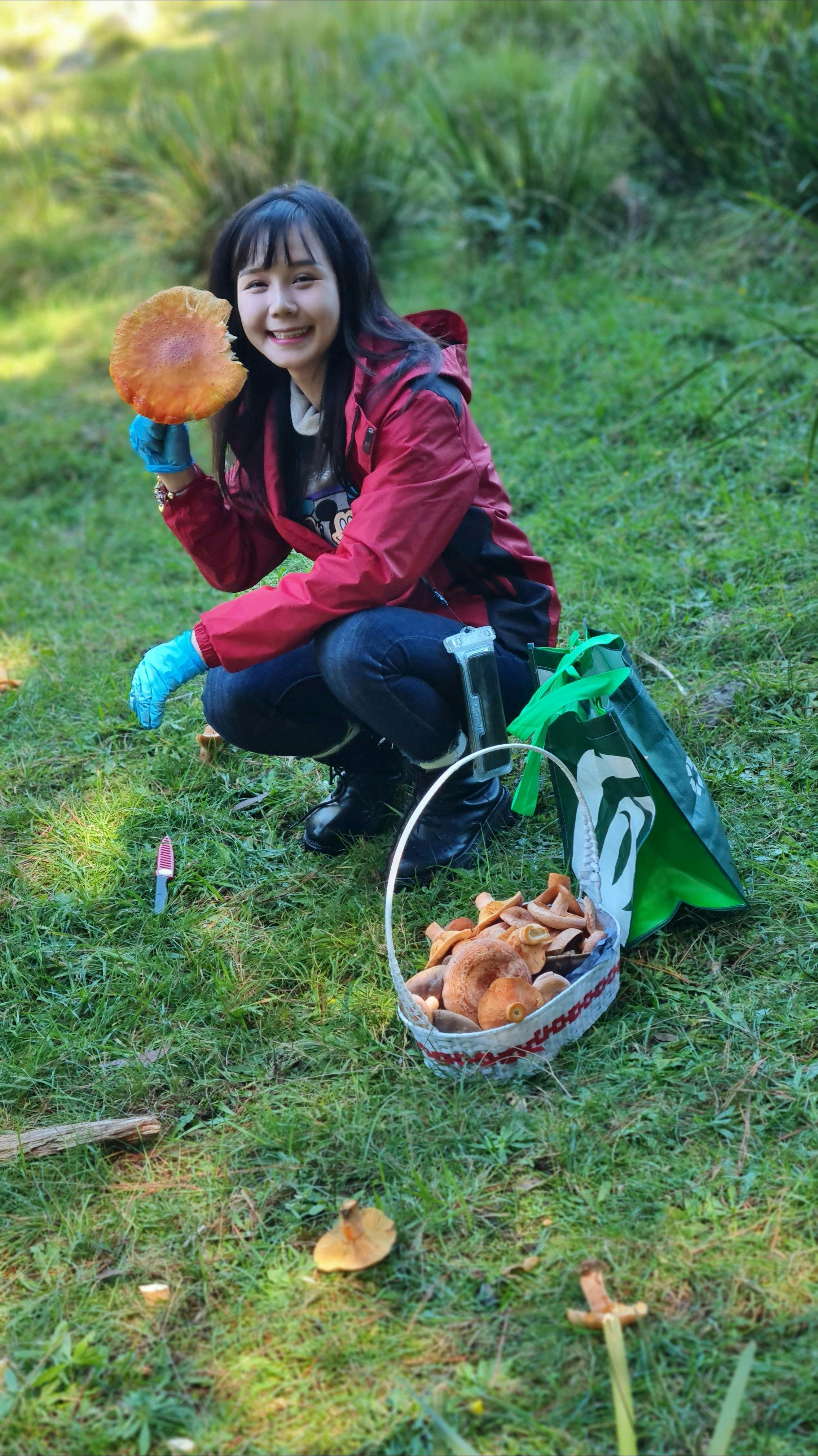 King's Birthday  Wild Mushroom Hunt