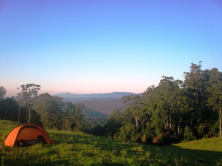 Barrington Tops Wilderness Walking Tour with Barrington Outdoor Adventures