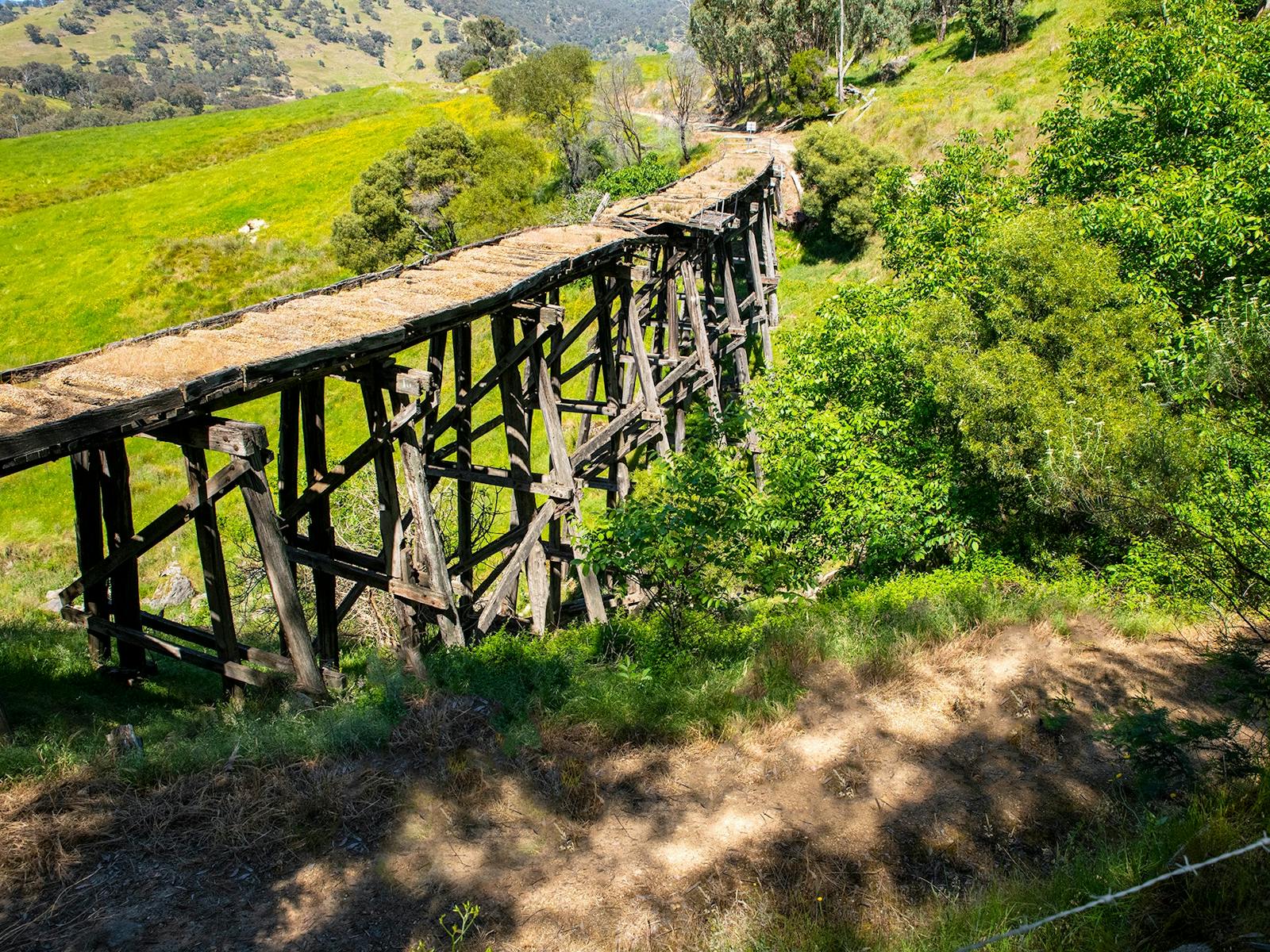 Historical Trestle Bridges aren't something you typically see in a marathon, but you can on the P2P