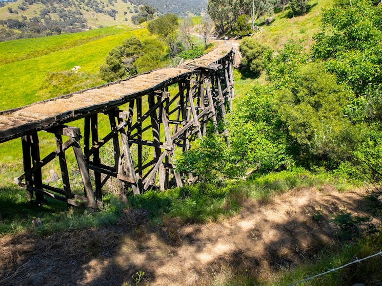 Historical Trestle Bridges aren't something you typically see in a marathon, but you can on the P2P