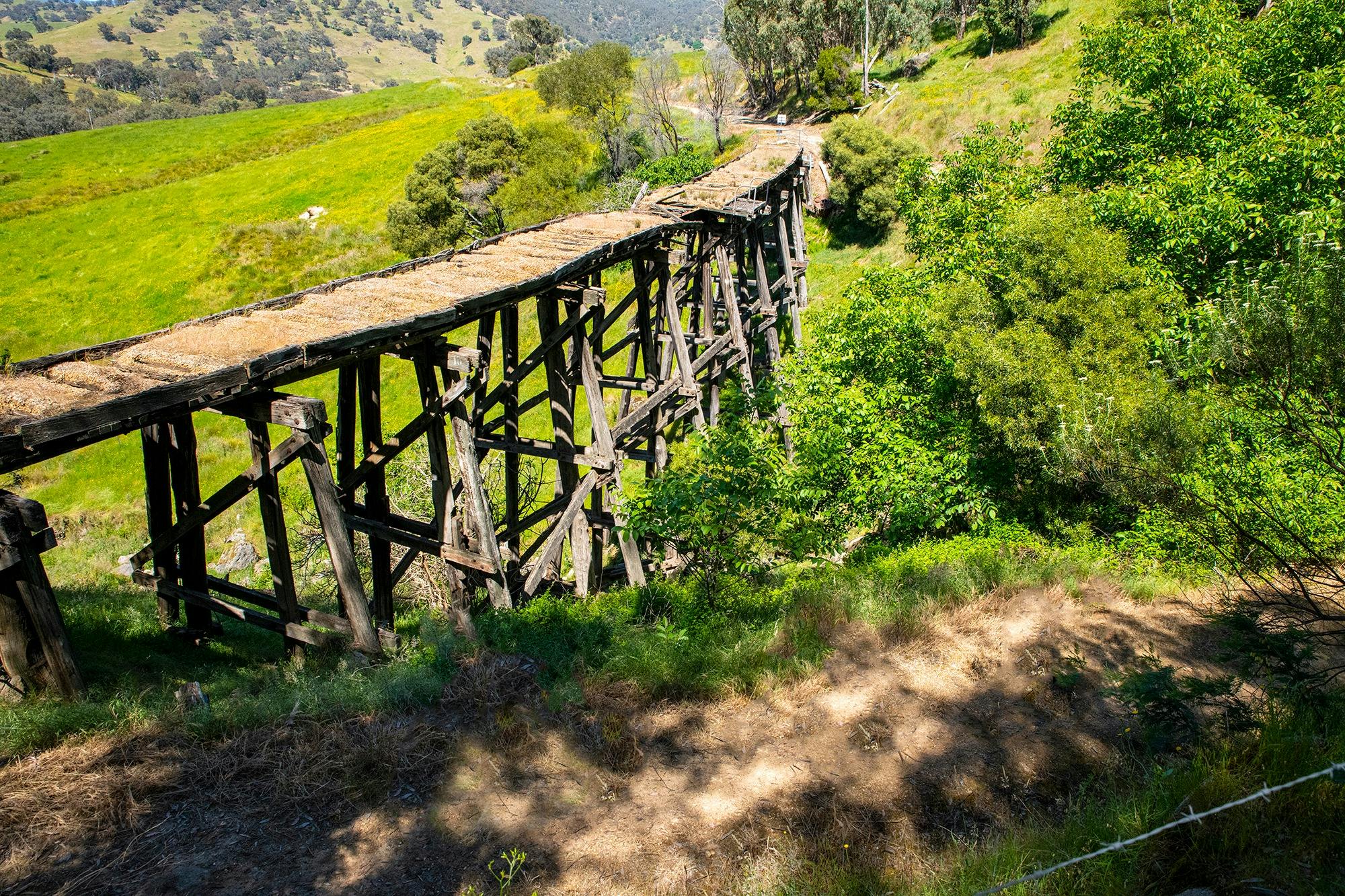 Historical Trestle Bridges aren't something you typically see in a marathon, but you can on the P2P