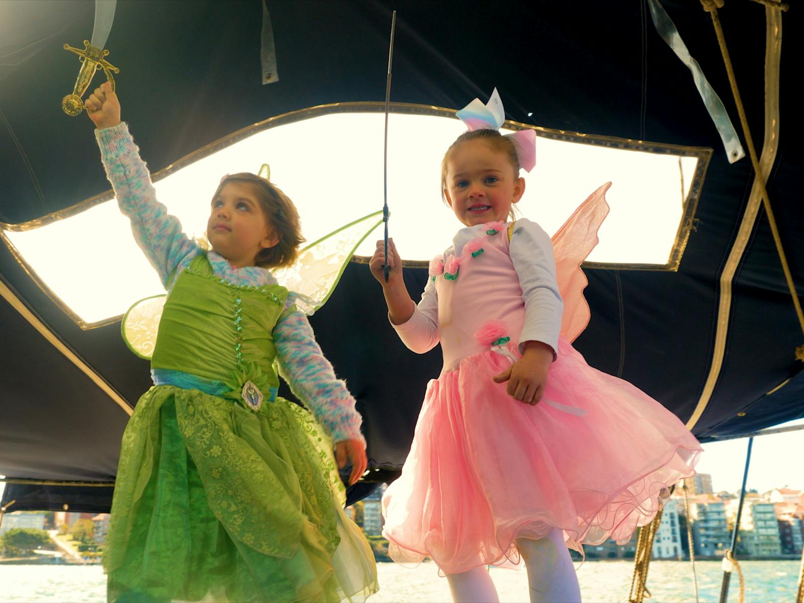 Pirate fairies