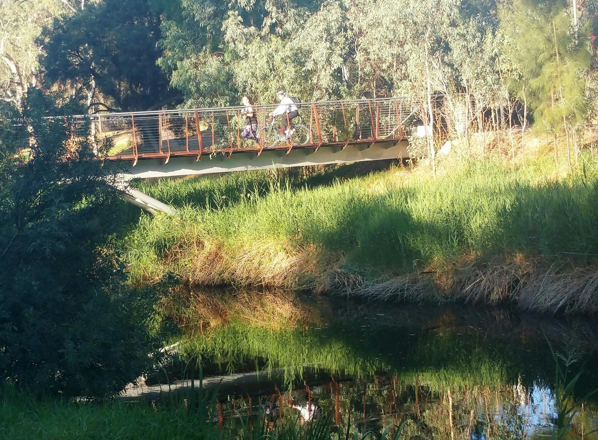 Guided Walk through Mistletoe Park / Tainmuntilla (Park 11 North)