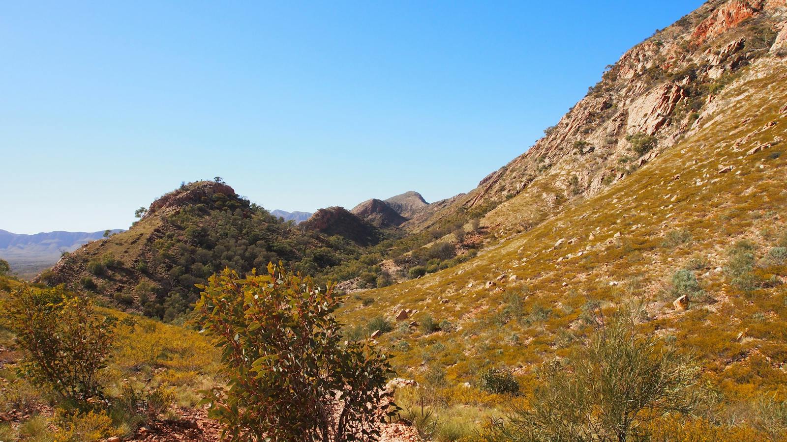 Stunning landscape along the Larapinta Trail