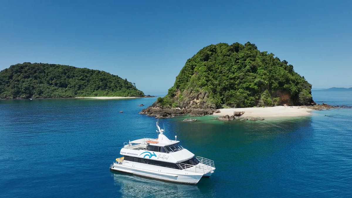 QuickCoast and Secret Cassowary Islands