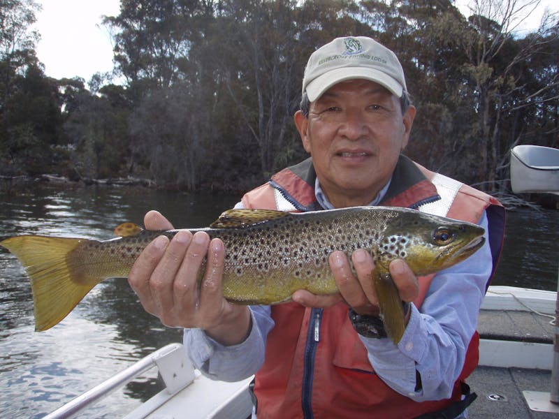 Arthurs Lake brown trout