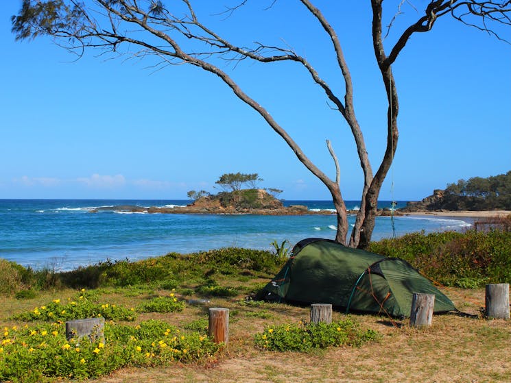 Not a bad place to drop the swag eh? Pebbly Beach.