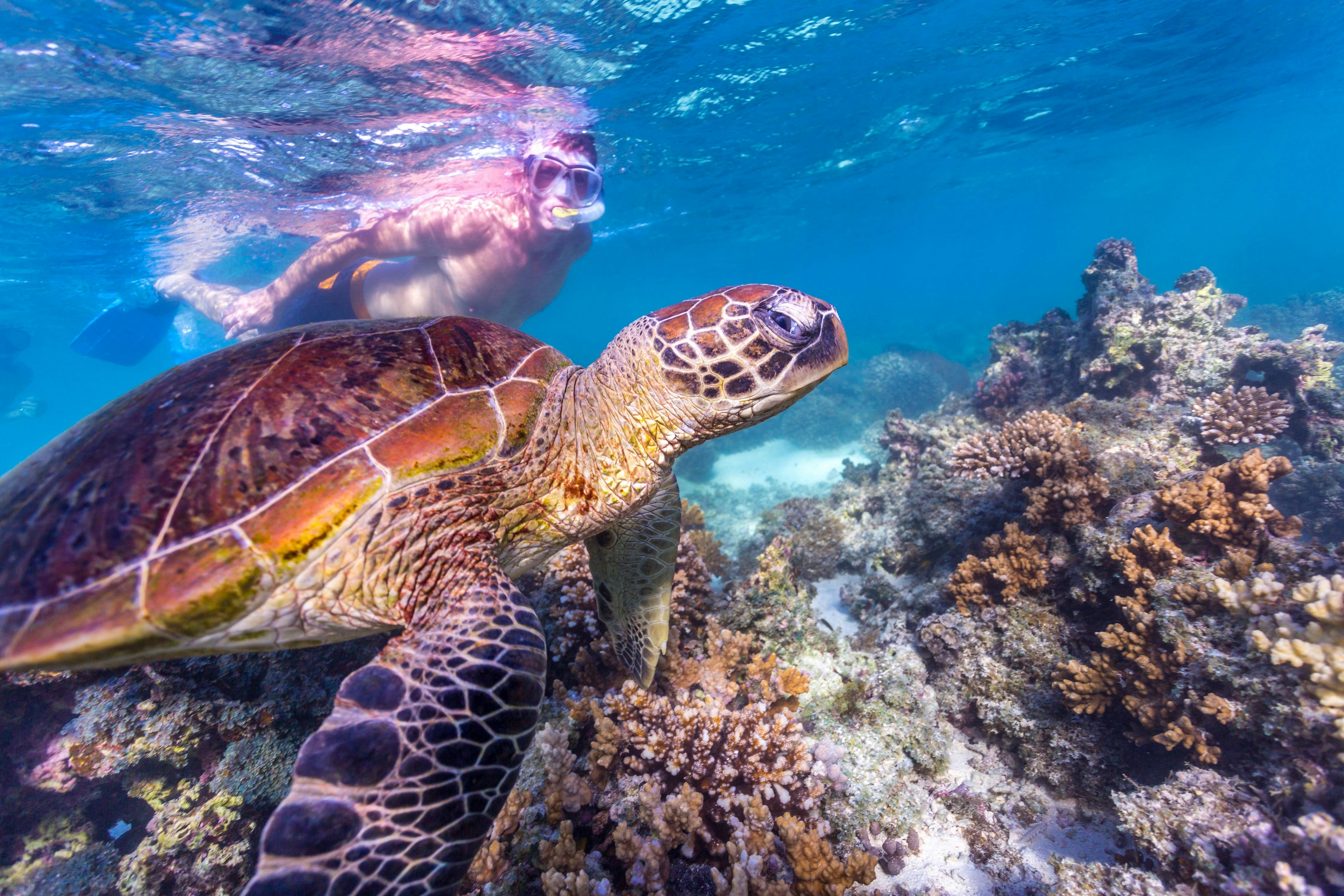 Autopia Tours - Turquoise Bay Ningaloo Reef Exmouth