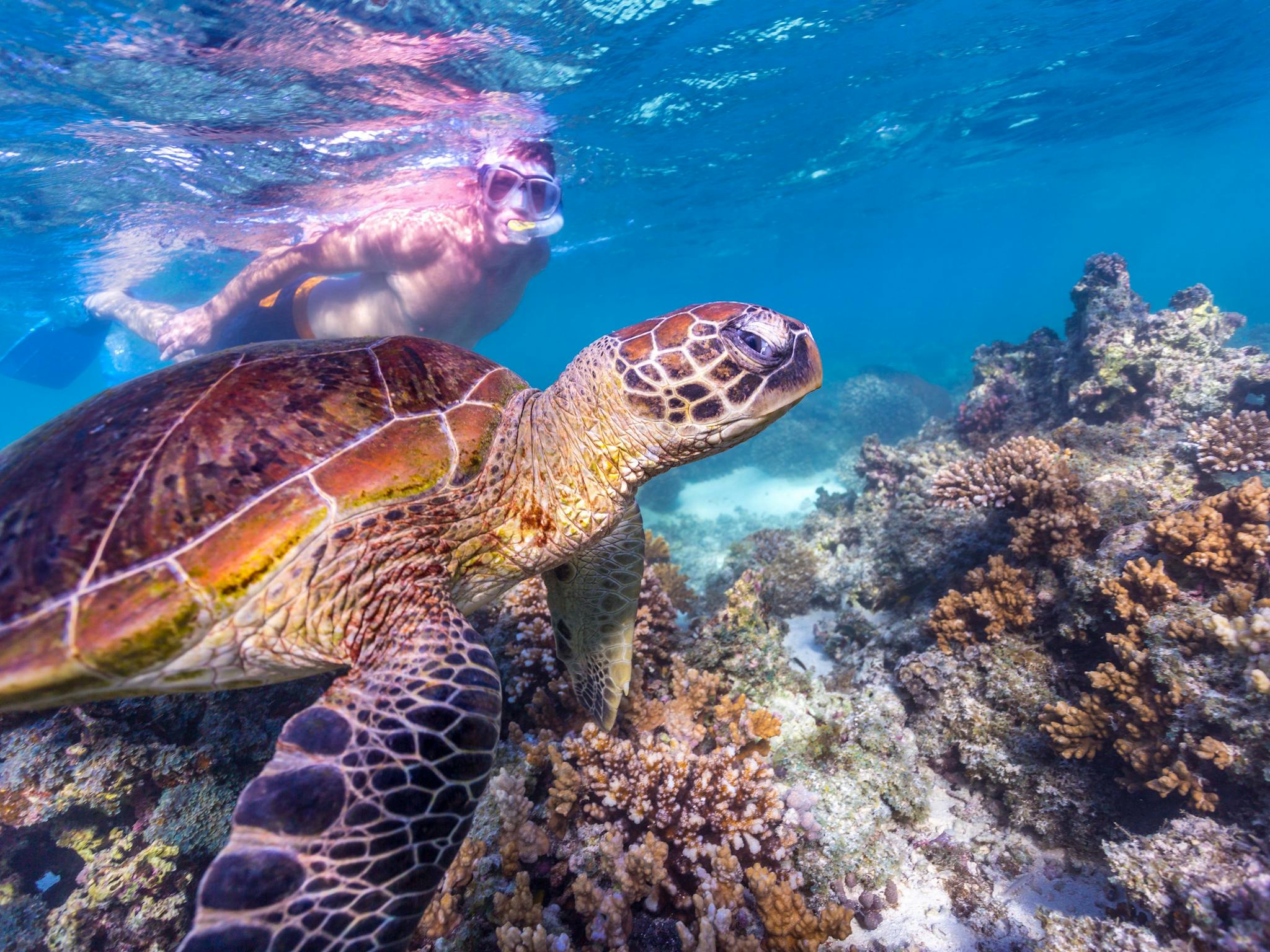 Autopia Tours - Turquoise Bay Ningaloo Reef Exmouth