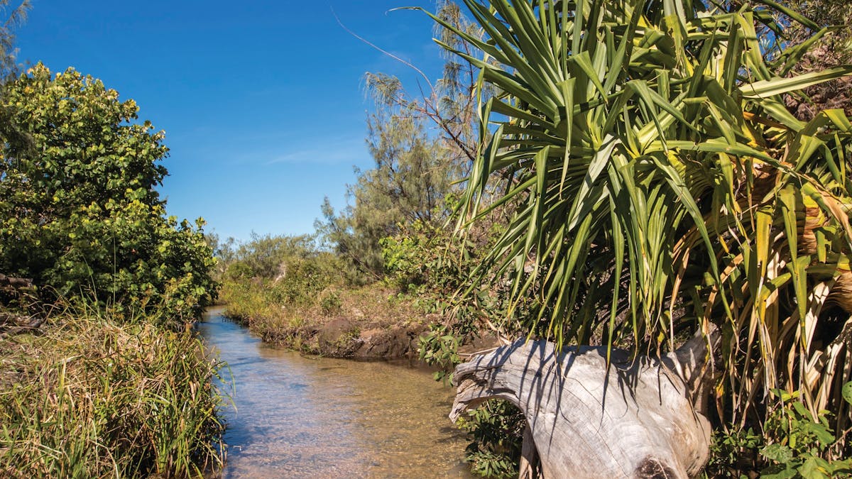 Freshwater Creek