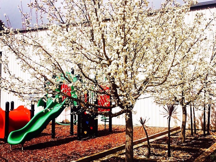 Playground in Spring