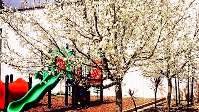 Playground in Spring