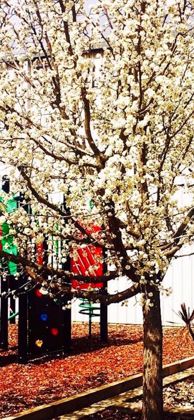 Playground in Spring