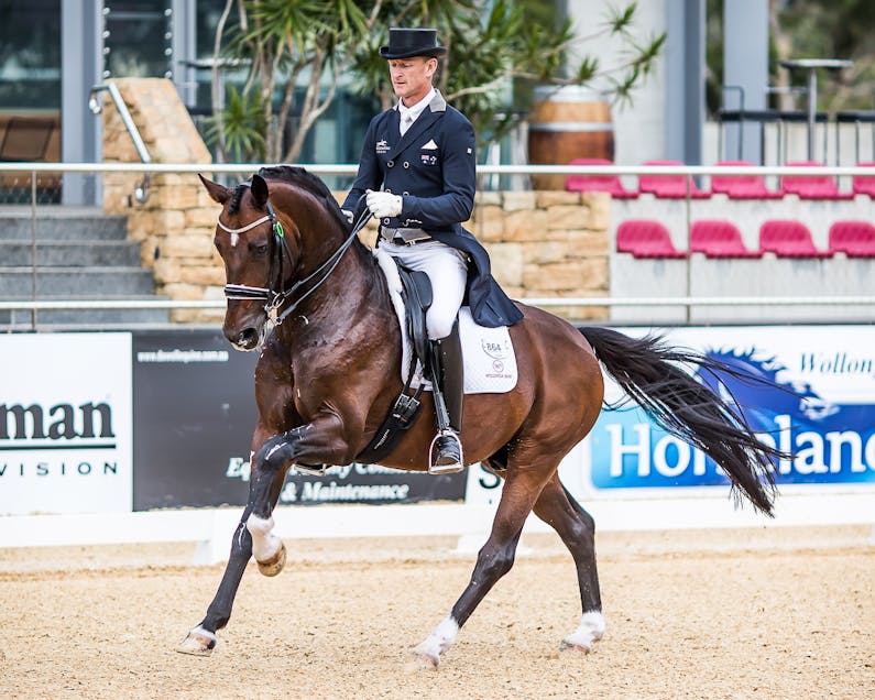 Image of the event 'Dressage by the Sea 2020'