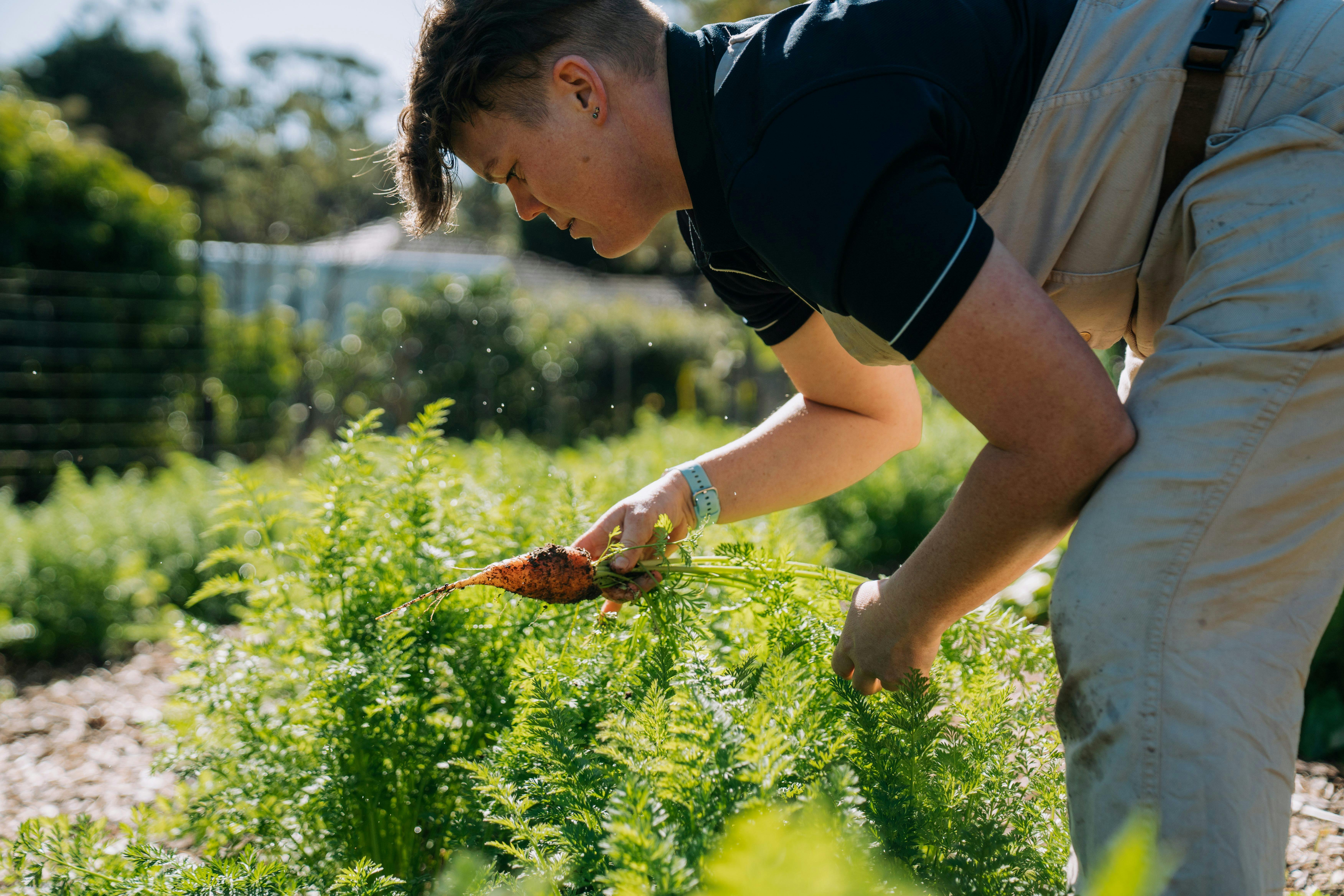 Bells Kitchen Garden