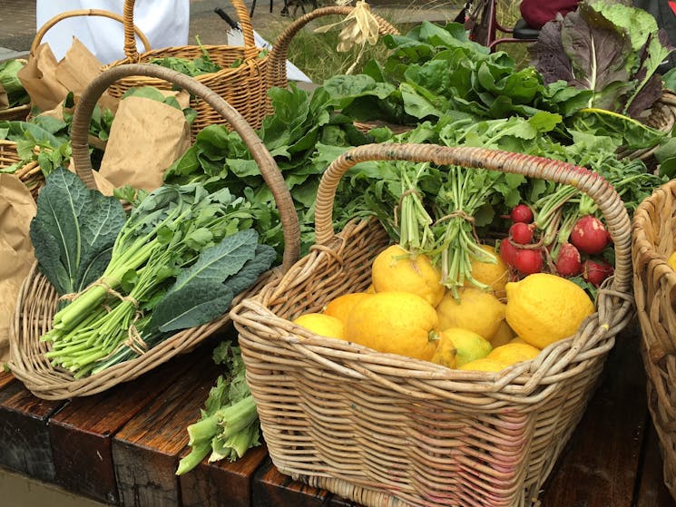 Slow Food Earth Markets Maitland