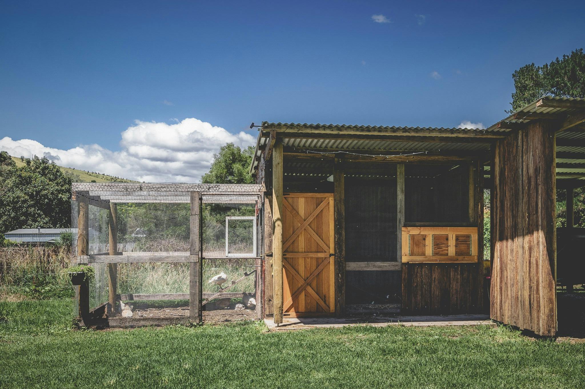exteriror of a wooden farm shed and a chicken coop surrounded by green grass