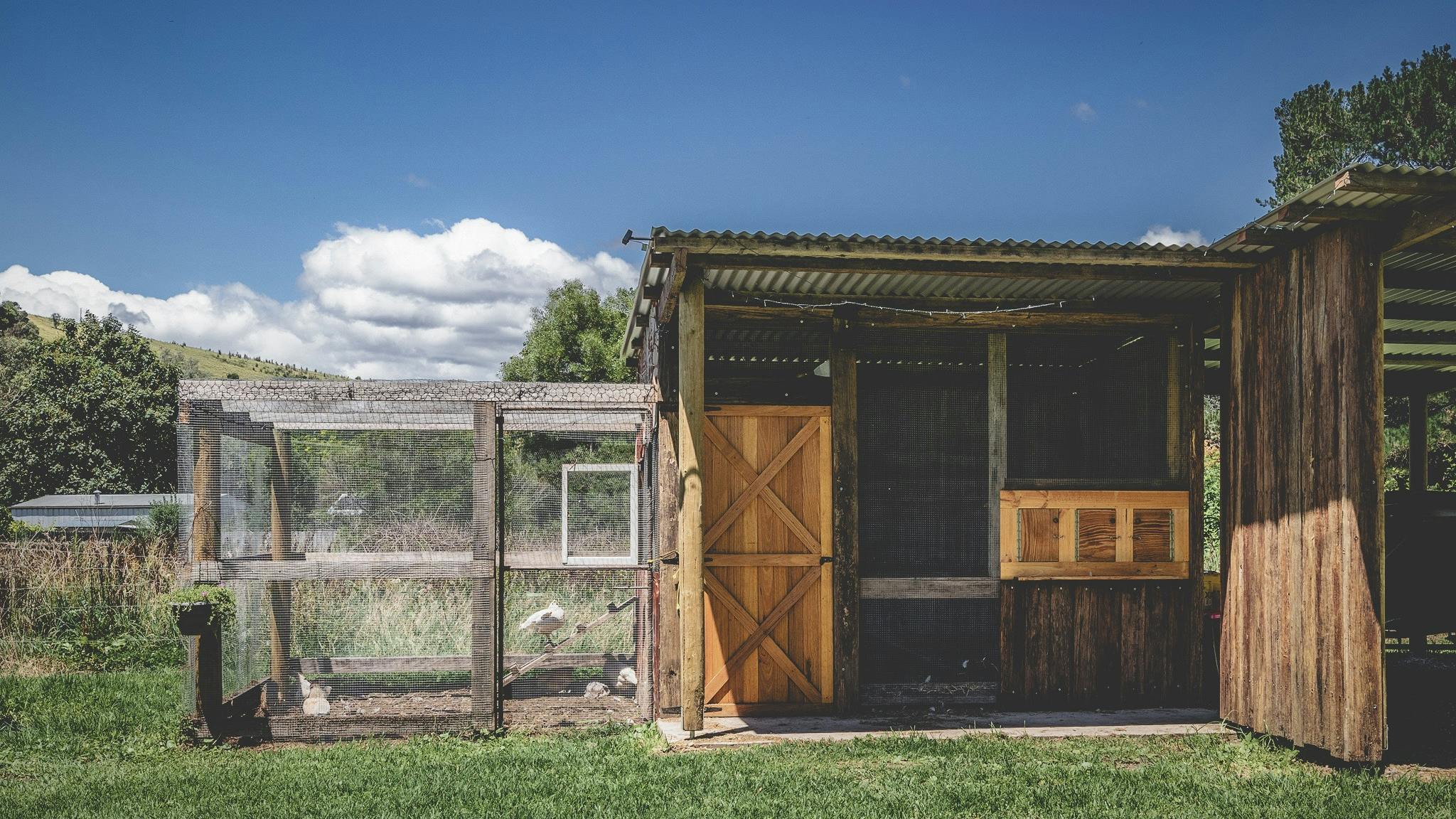 exteriror of a wooden farm shed and a chicken coop surrounded by green grass