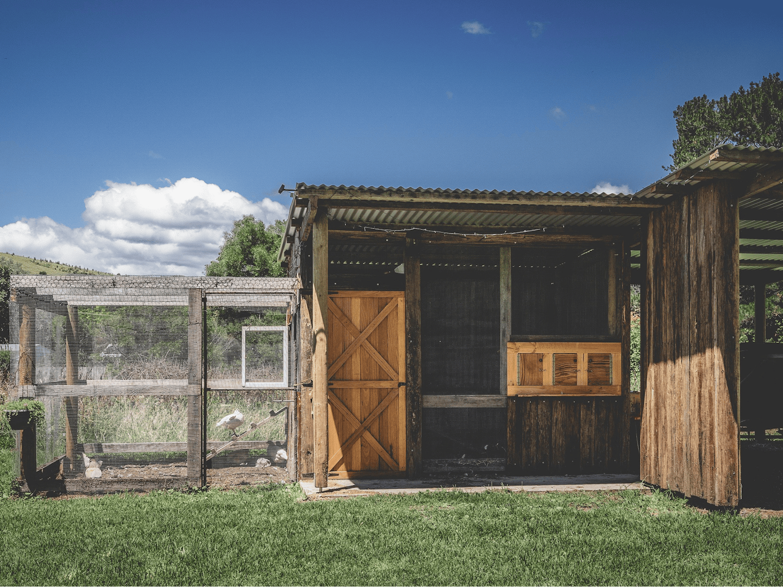 exteriror of a wooden farm shed and a chicken coop surrounded by green grass