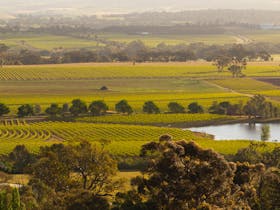 beautiful Barossa landscape