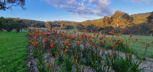 Country Explorers: A Fleurieu Coast Mystery Experience (Thursday)