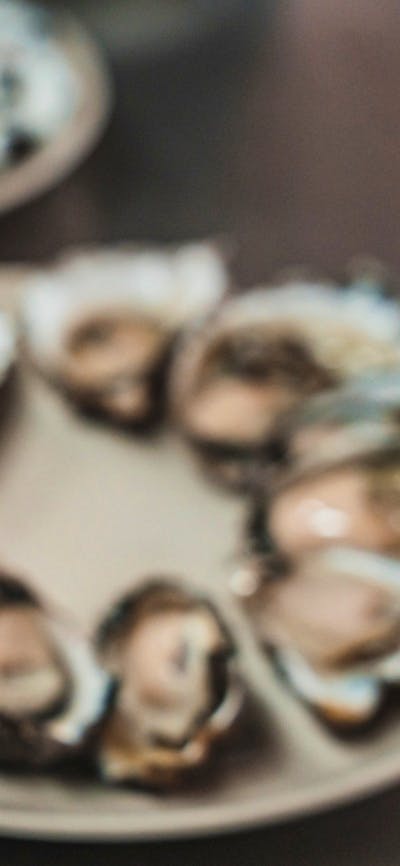 Someone holding a bottle of gin in front of a plate of oysters